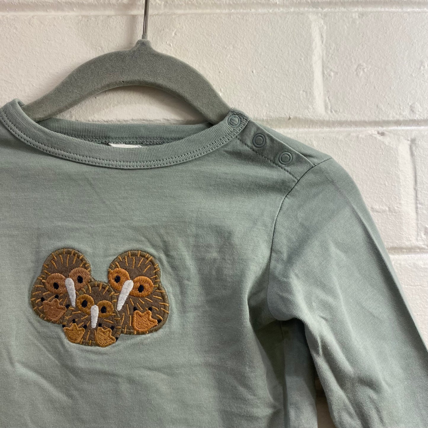 Country Road Kiwi Long Sleeve tee - Size 0
