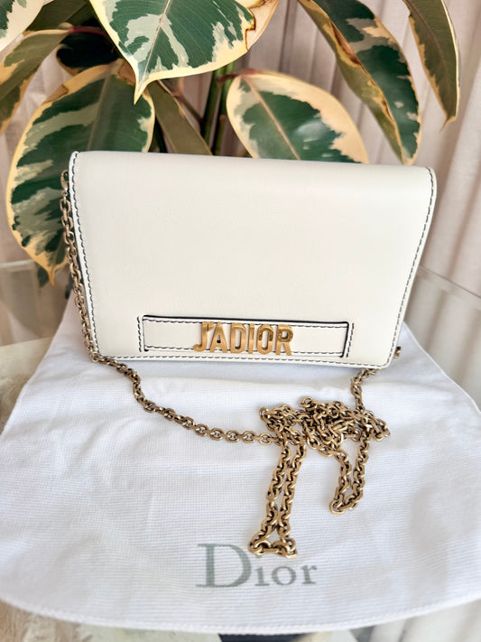 Christian Dior Latte Jadior Calfskin Pouch Wallet On Chain