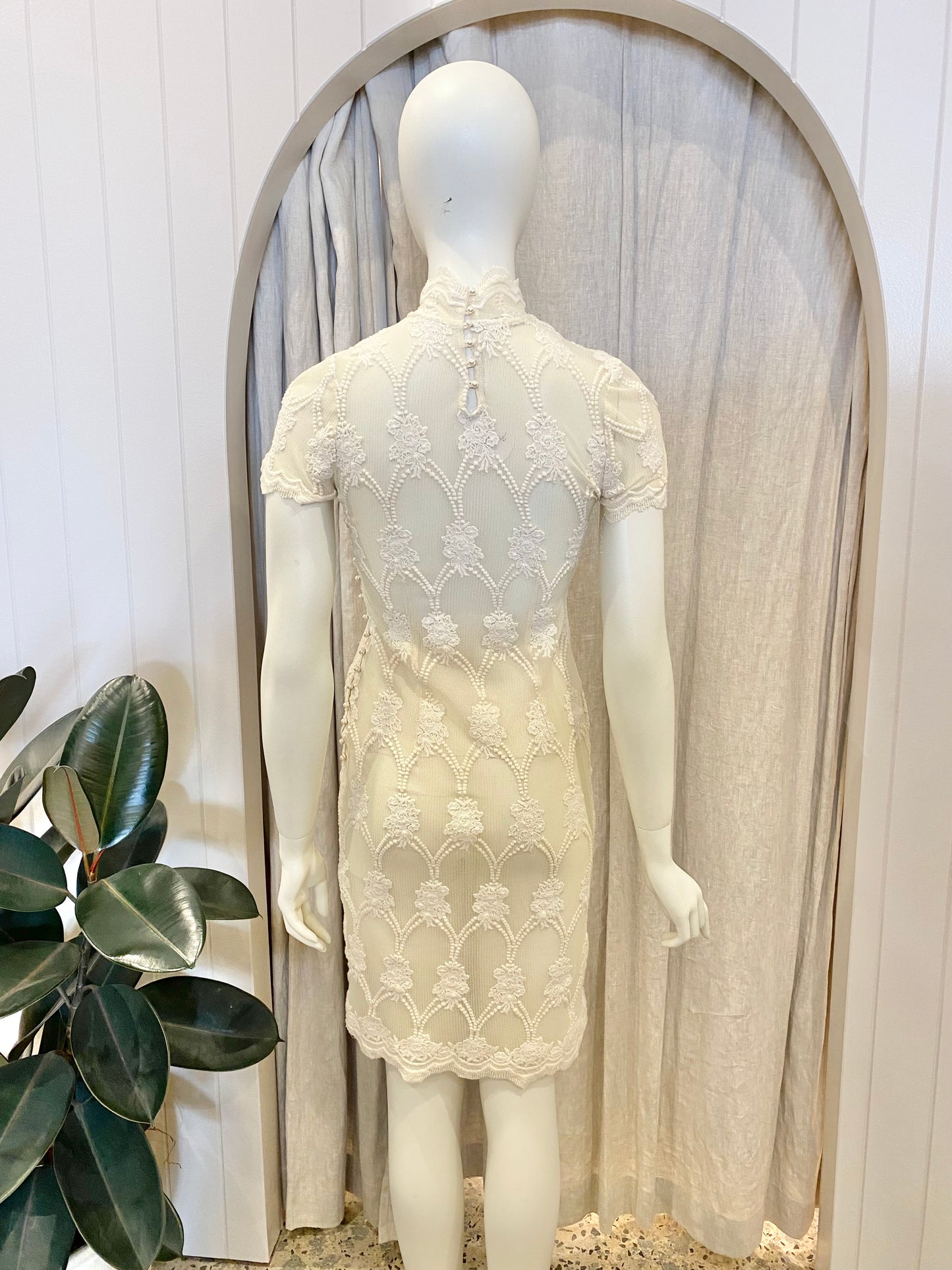 Moss and Spy Lace Dress - Size 8