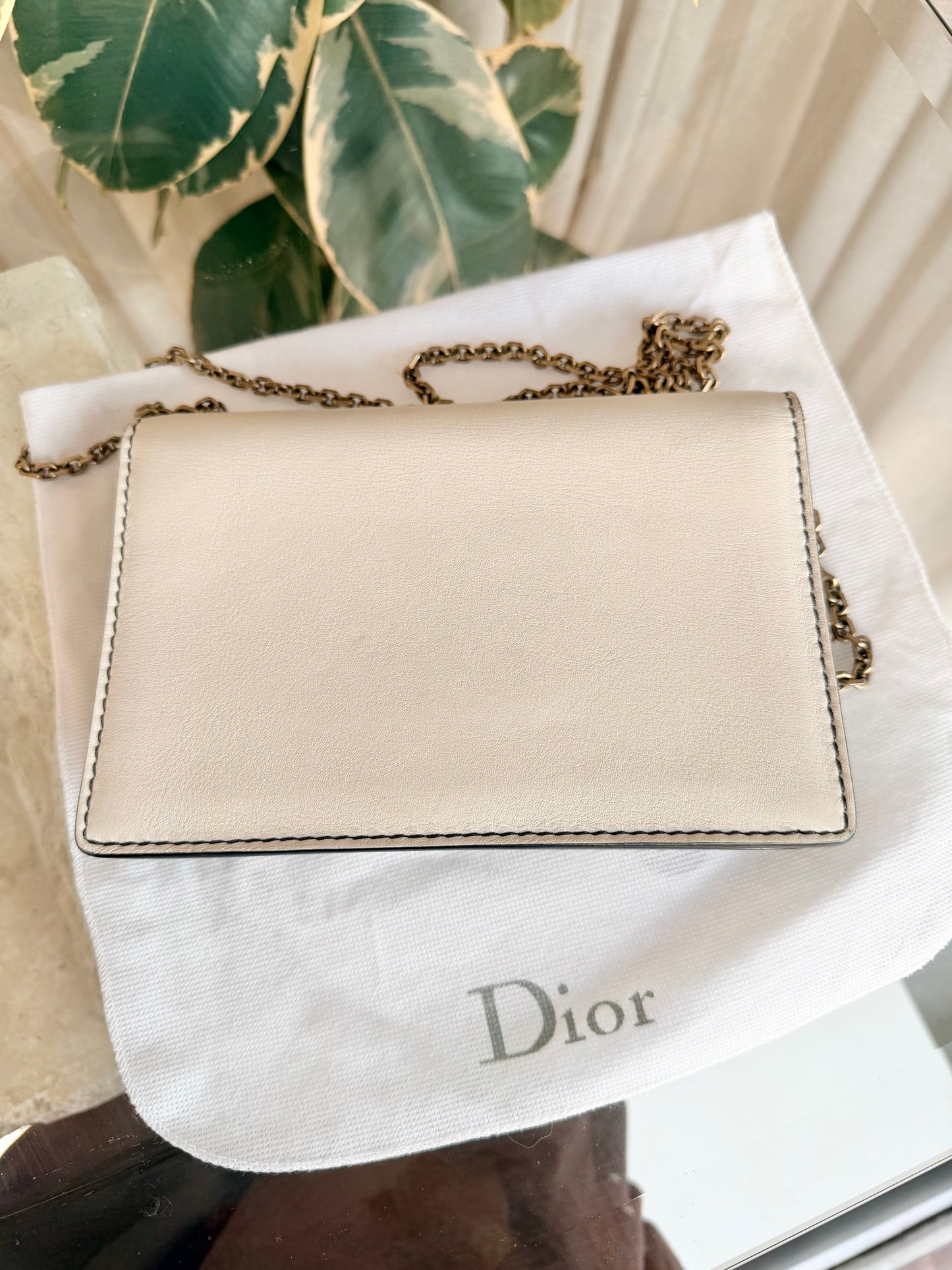 Christian Dior Latte Jadior Calfskin Pouch Wallet On Chain