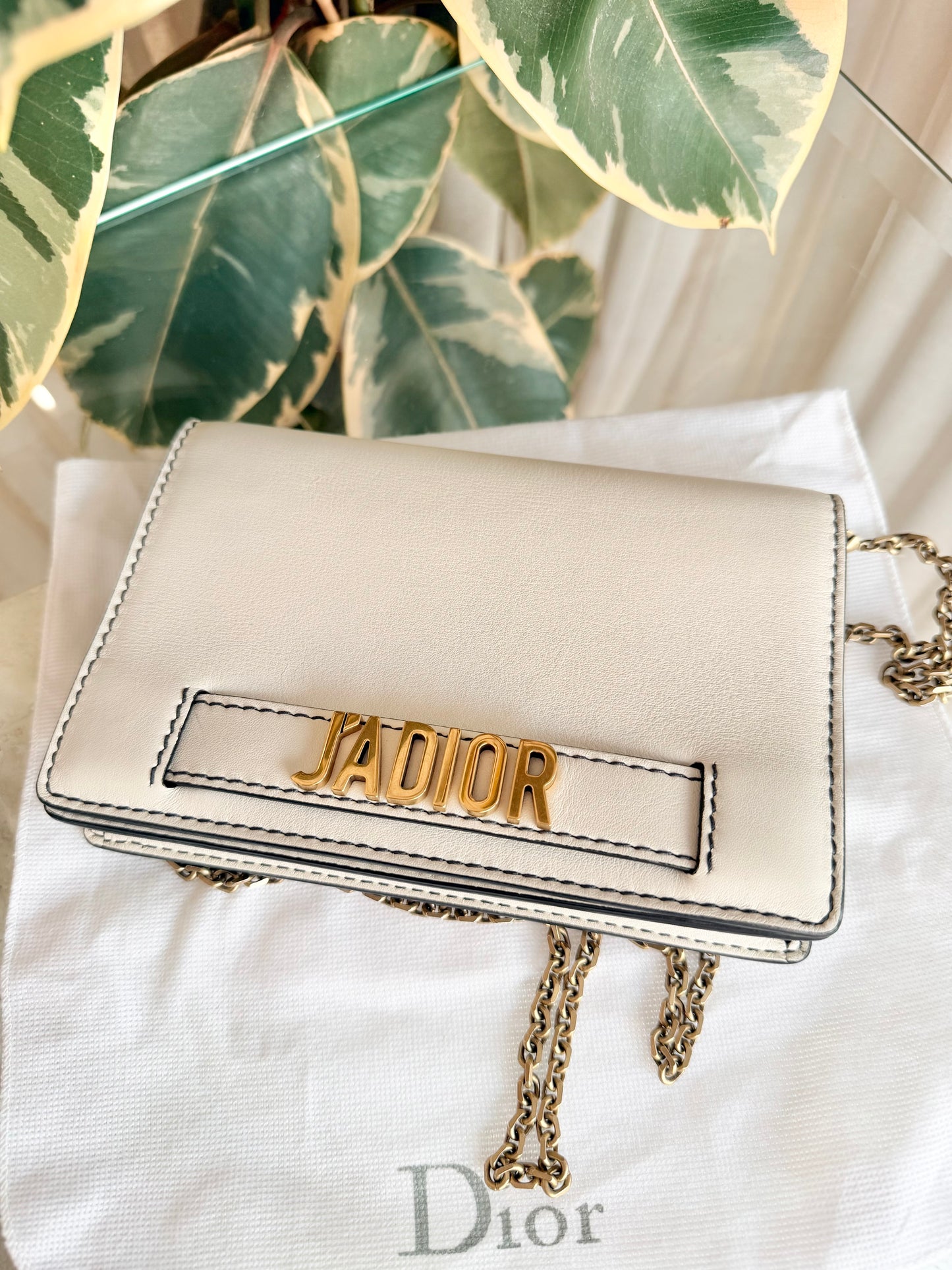 Christian Dior Latte Jadior Calfskin Pouch Wallet On Chain