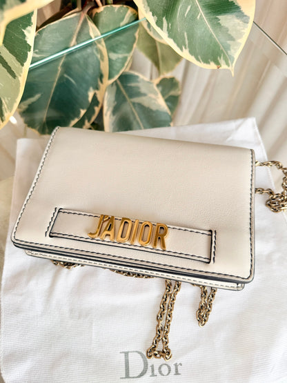 Christian Dior Latte Jadior Calfskin Pouch Wallet On Chain